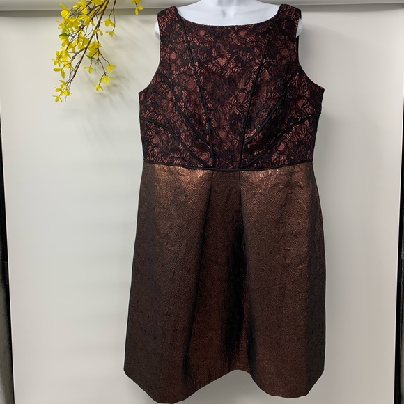 Adrianna Papell Dresses Lovely Adrianna Papell Black Bronze Lace